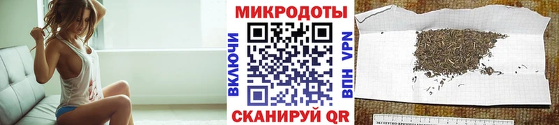 Галлюциногенные грибы Psilocybe  Купить  Гатчина 