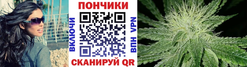 Канабис планчик  Купить где  Гатчина 